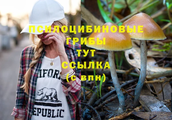 дмт Нефтегорск